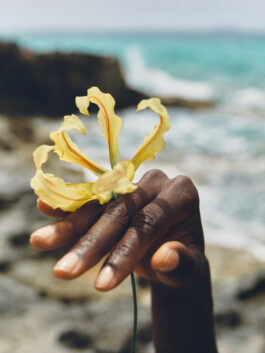 Adam Kremer, Jil Sander Sun Perfume Campaign, Creative Direction by Buero Paris and COTY, 2025 
